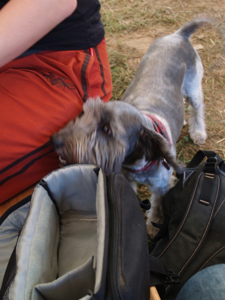 Zahrada 2008 by Kiki 004