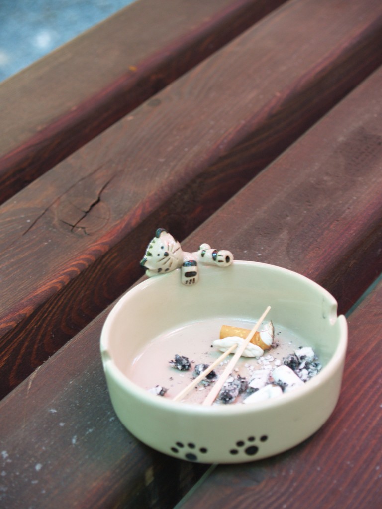 Zahrada 2008 by Kiki 012