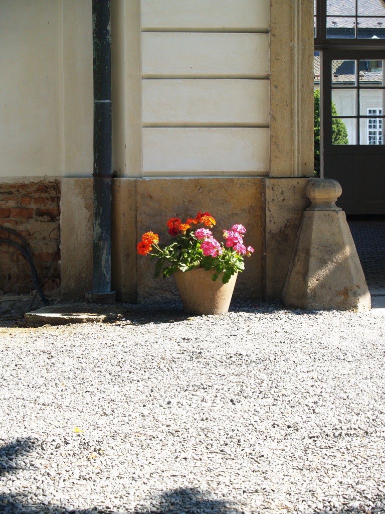 Zahrada 2008 by Kiki 016