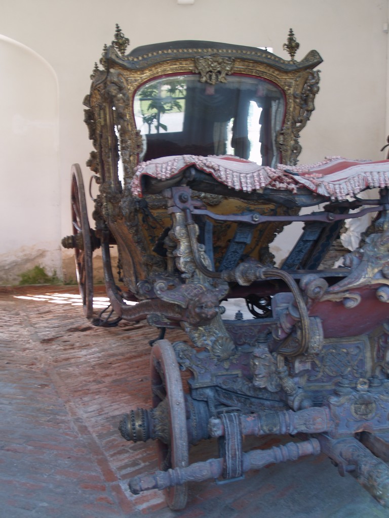 Zahrada 2008 by Kiki 020