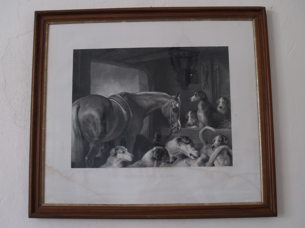 Zahrada 2008 by Kiki 024