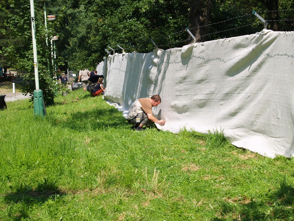 Zahrada 2008 by Kiki 092