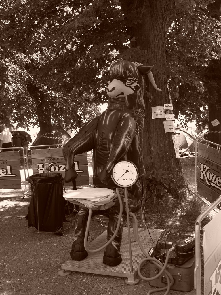 Zahrada 2008 by Kiki 119