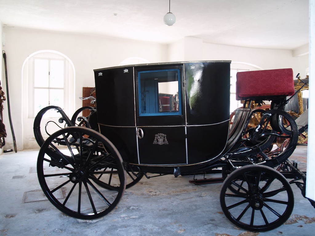 Zahrada 2008 by Kiki 129