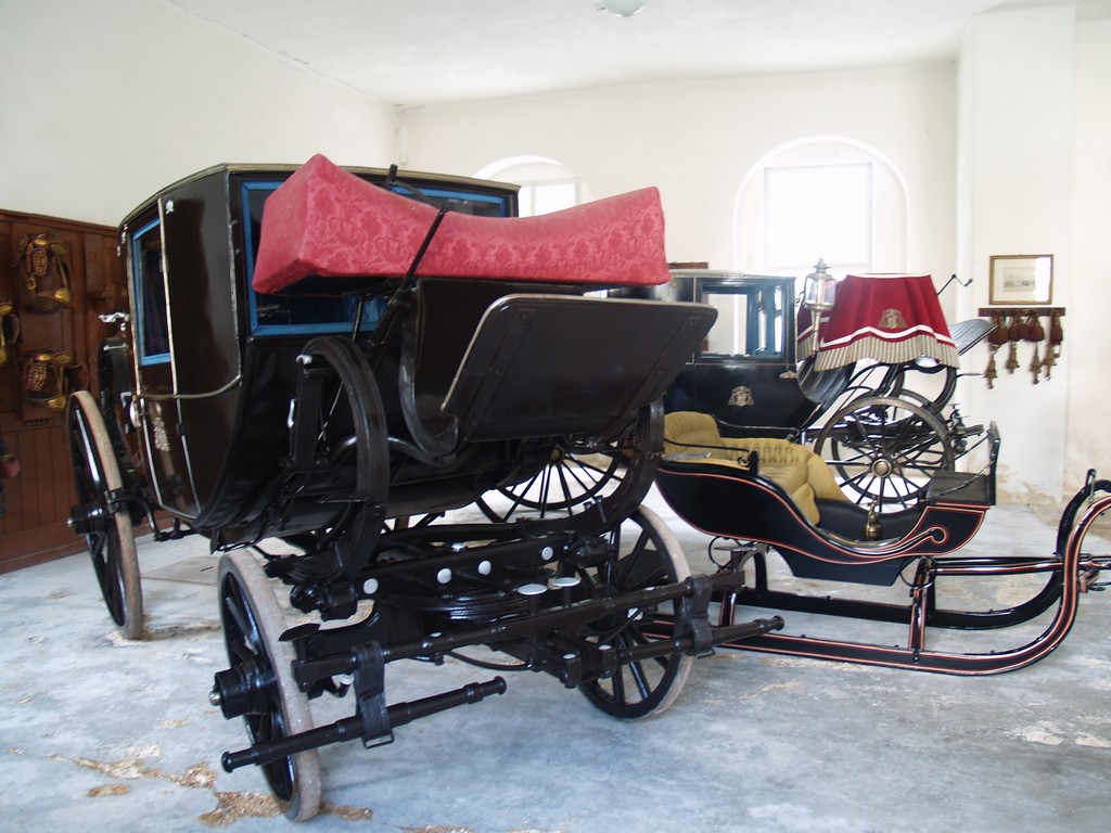 Zahrada 2008 by Kiki 130