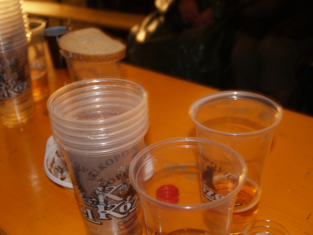 Zahrada 2008 by Kiki 167