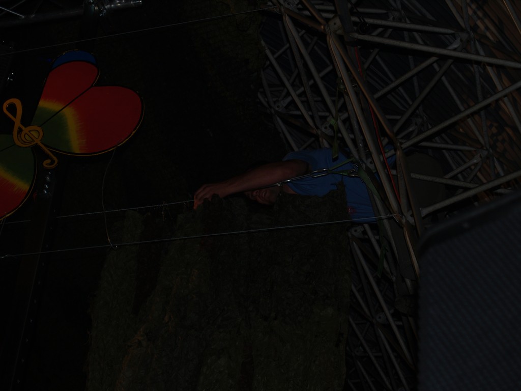 Zahrada 2008 by Kiki 269