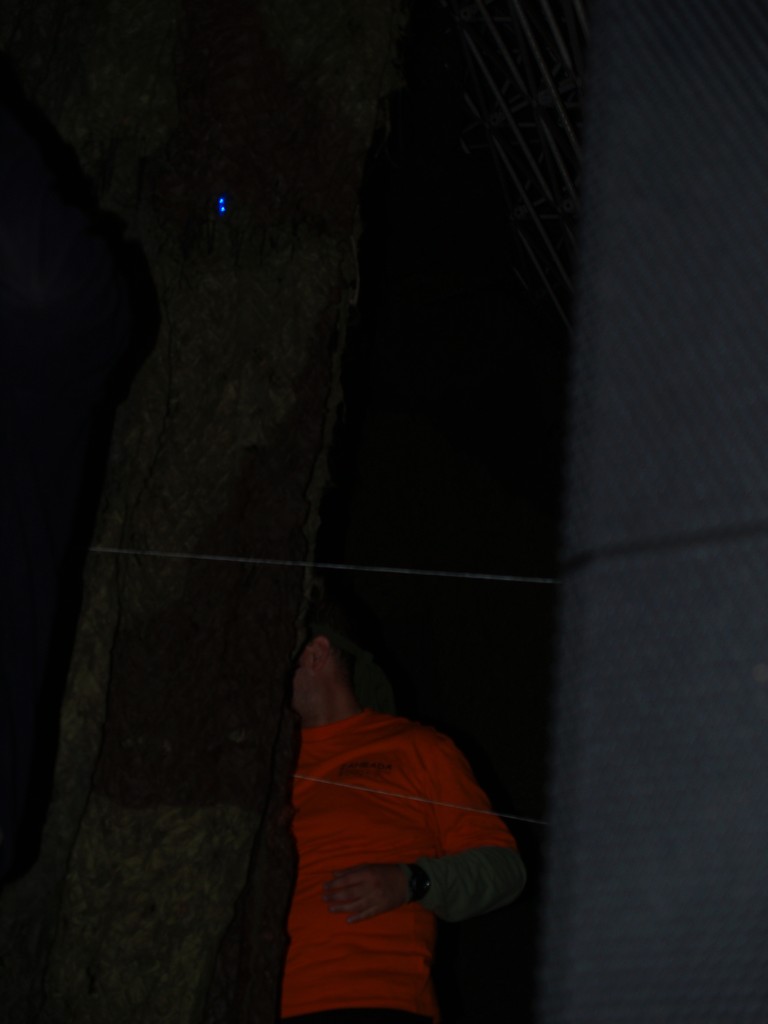 Zahrada 2008 by Kiki 270