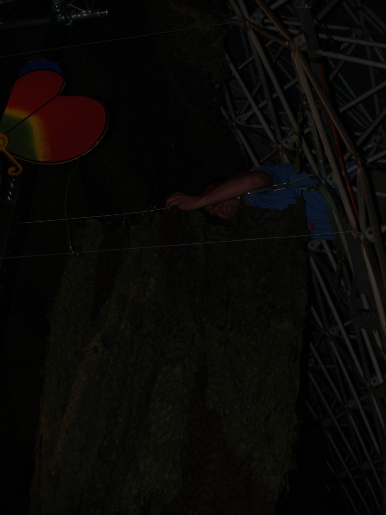 Zahrada 2008 by Kiki 271