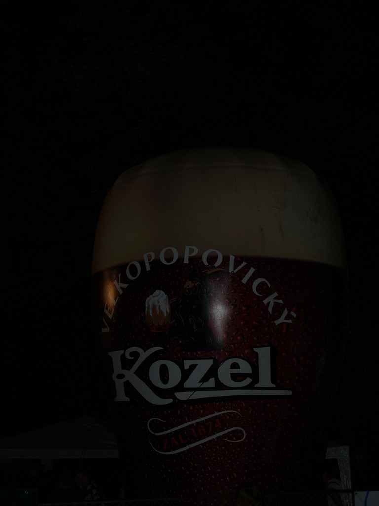 Zahrada 2008 by Kiki 276