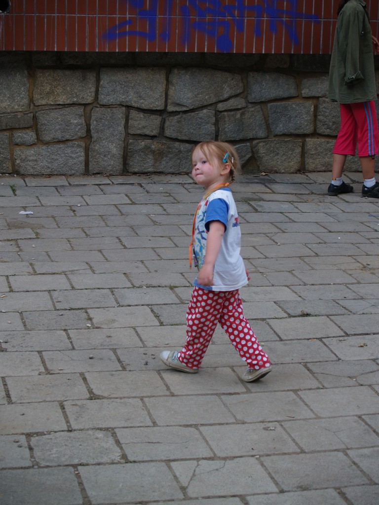 Zahrada 2008 by Kiki 302