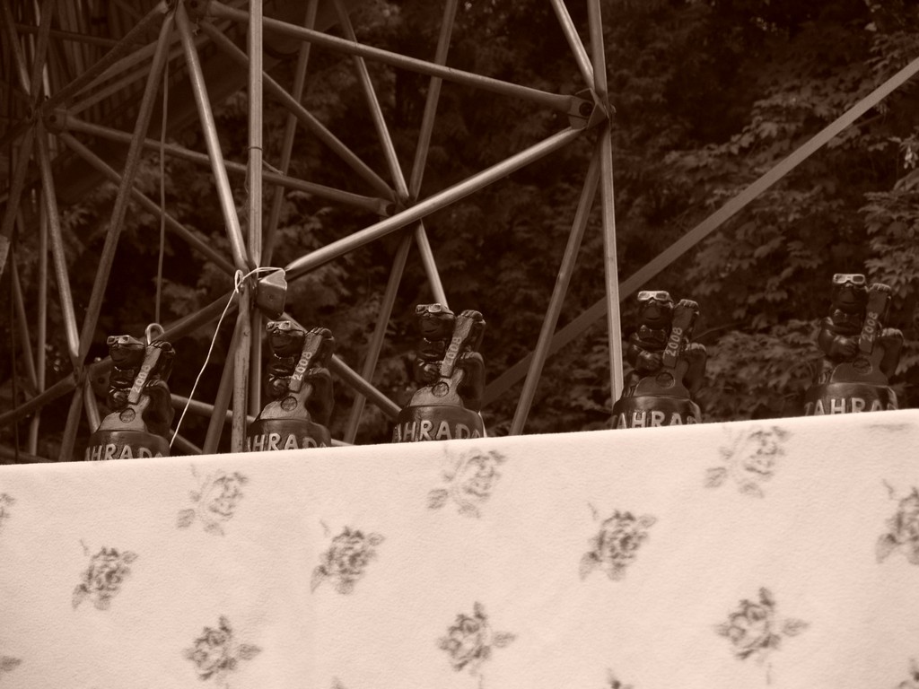 Zahrada 2008 by Kiki 314