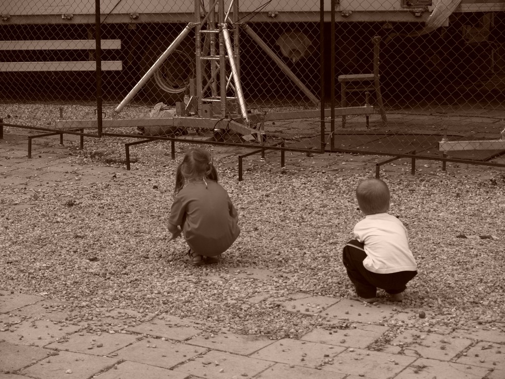 Zahrada 2008 by Kiki 317