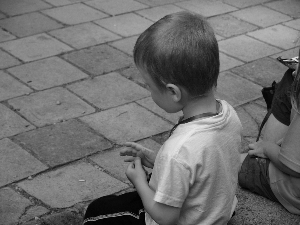 Zahrada 2008 by Kiki 318