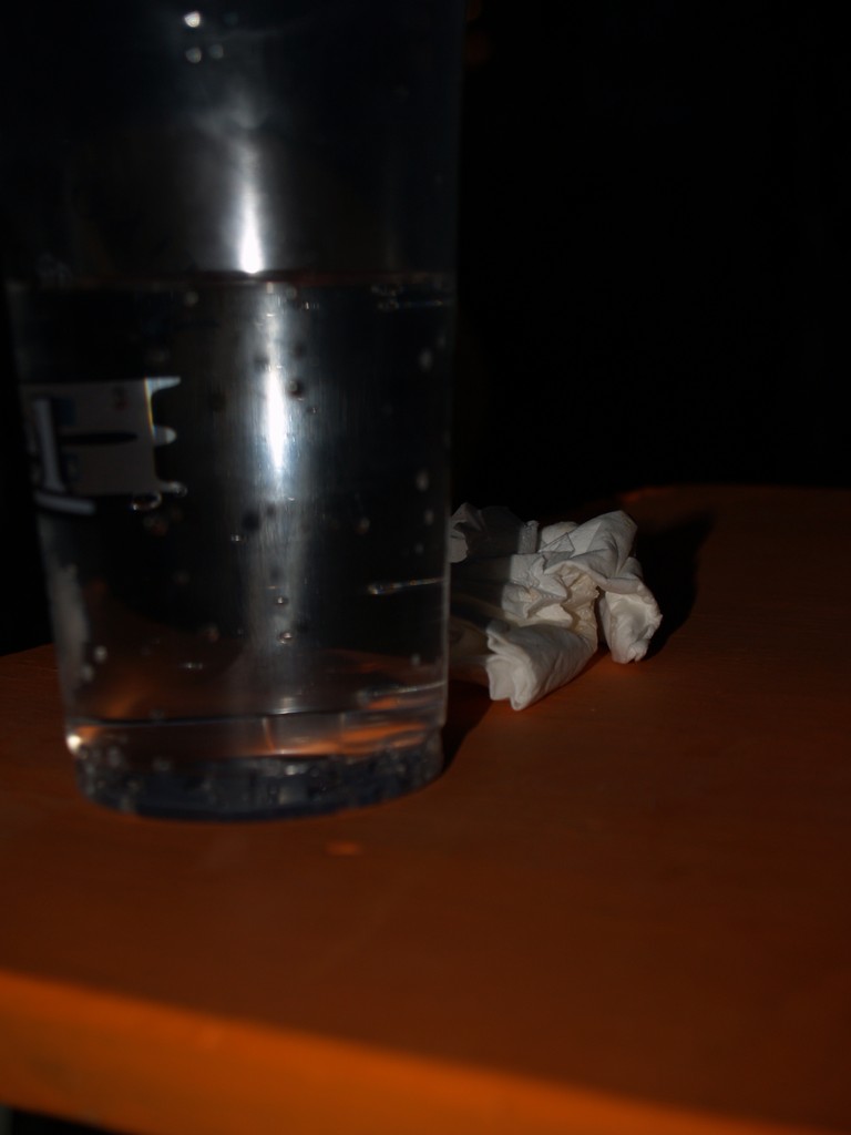 Zahrada 2008 by Kiki 386