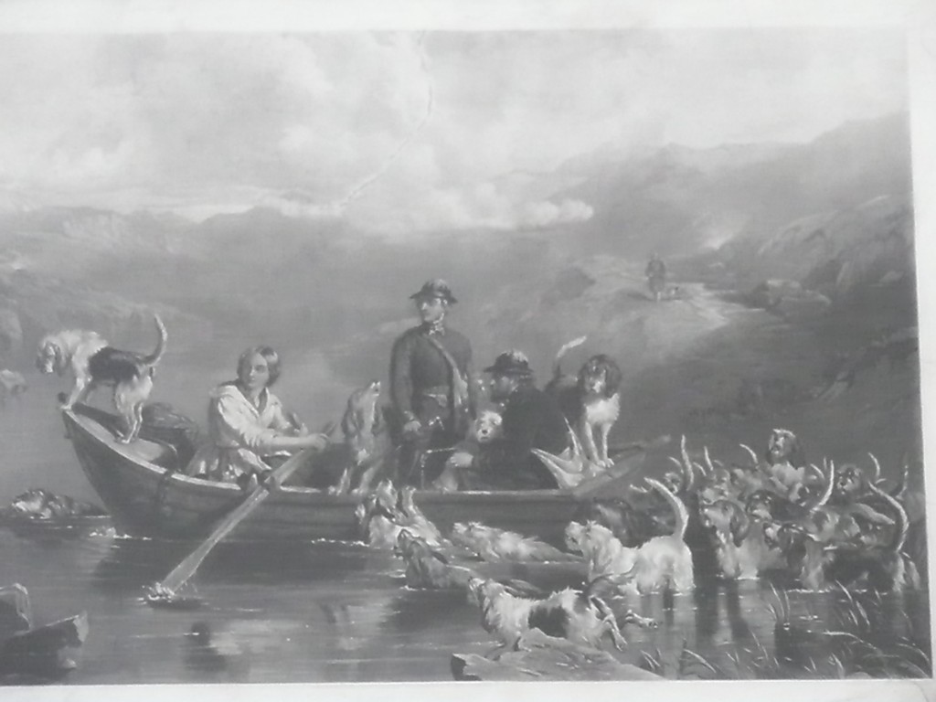 Zahrada 2008 by Olinka 10